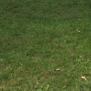 Meet your Posher, Paige